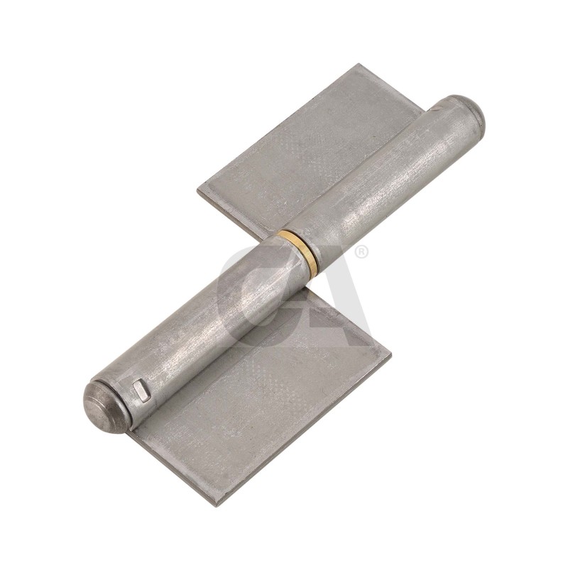 FISCE ALA MEDIA DESTRA