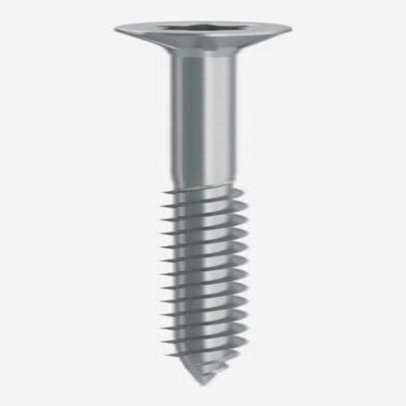 VITE TRUCIOL.77052 TSP TORX T40 